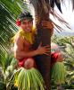 Hawaiian Luaus Hawaiian Luaus
